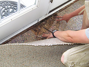 Forensic Investigation